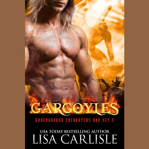 Gargoyles: A Shifter and Rockstar Romance Boxed Set, Lisa Carlisle