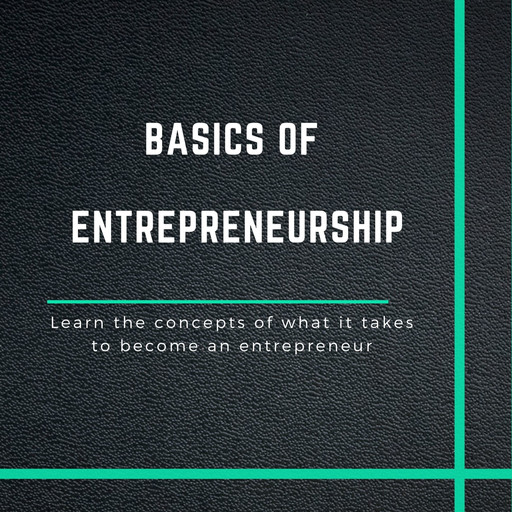 Basics of Entrepreneurship, Sasan Seyedi