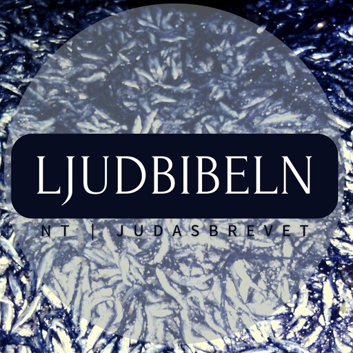 NT | Judasbrevet, Ljudbibeln