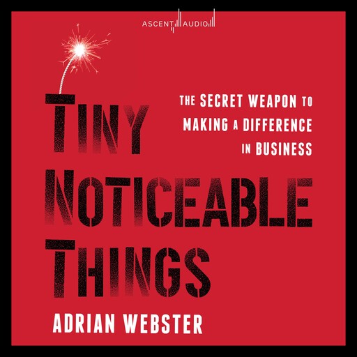 Tiny Noticeable Things, Adrian Webster