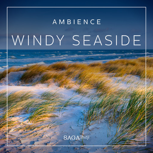 Ambience - Windy seaside, Rasmus Broe