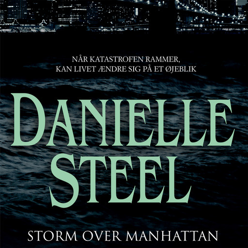 Storm over Manhattan, Danielle Steel