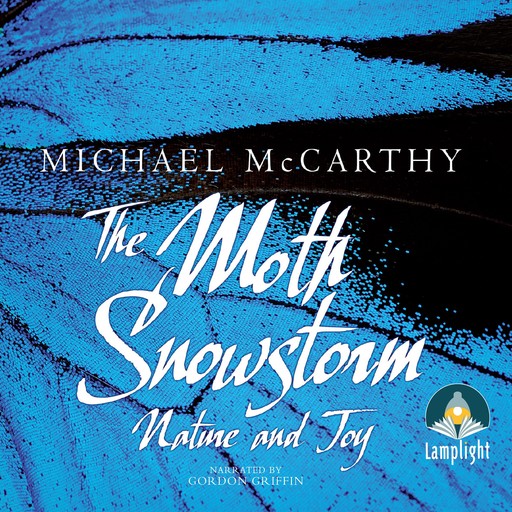 The Moth Snowstorm, Michael McCarthy