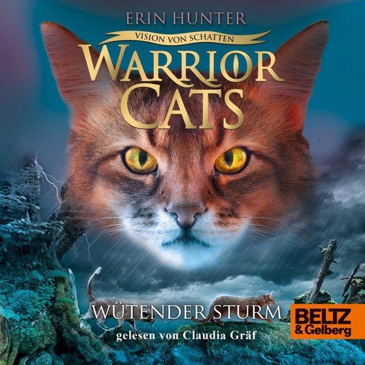 Warrior Cats - Vision von Schatten. Wütender Sturm, Erin Hunter
