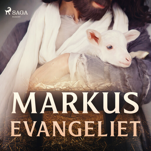 Markusevangeliet, Flera Författare
