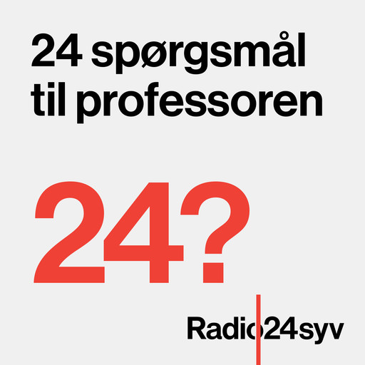 Jørgen Lange Thomsen, professor ved Retsmedicinsk Institut på Syddansk..., Radio24syv