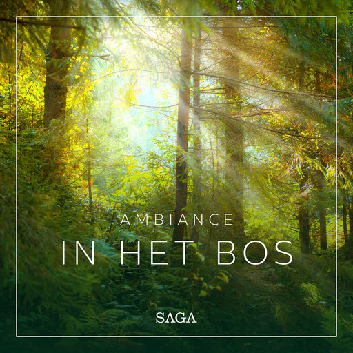 Ambiance - In het Bos, Rasmus Broe