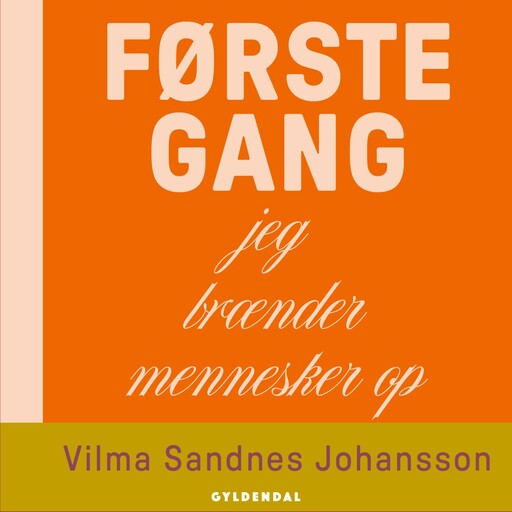 Første gang jeg brænder mennesker op, Vilma Sandnes Johansson