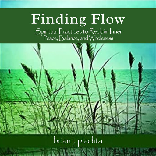 Finding Flow, Brian J. Plachta