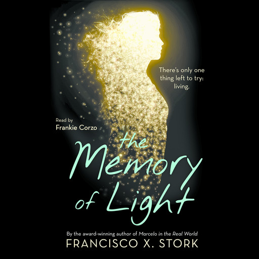 The Memory of Light, Francisco X. Stork