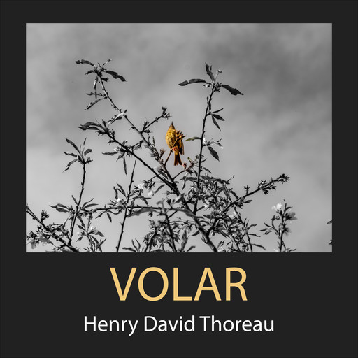 Volar, Henry David Thoreau