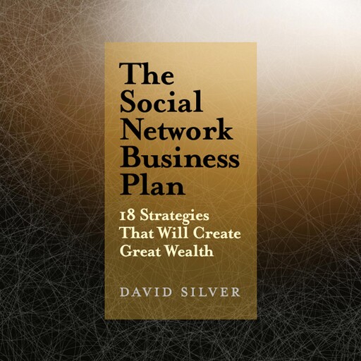 The Social Network Business Plan, David Silver