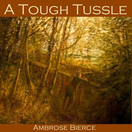 A Tough Tussle, Ambrose Bierce