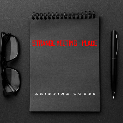 Strange Meeting Place, Kristine Couse