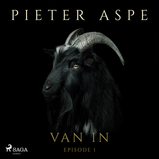 Van In - Episode 1, Pieter Aspe