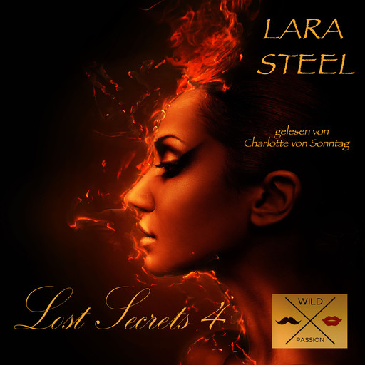 Lost Secrets, 4 (ungekürzt), Lara Steel