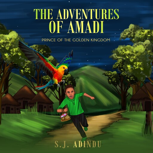 The Adventures of Amadi, S.J. Adindu