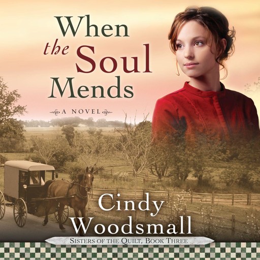 When the Soul Mends, Cindy Woodsmall