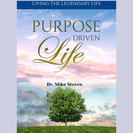 Purpose Driven Life, Mike Steves