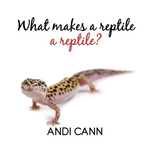 What Makes a Reptile a Reptile?, Andi Cann