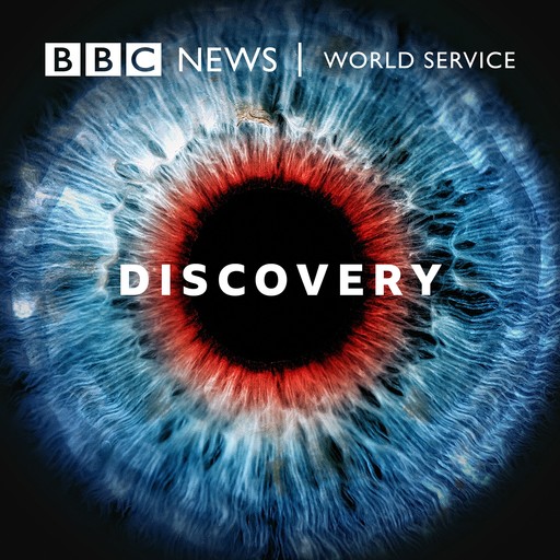 Hallucination 1/2, BBC World Service