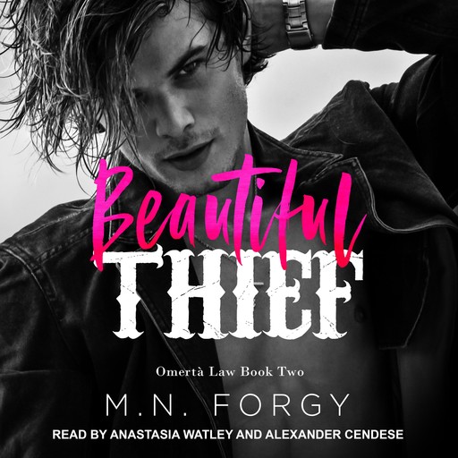 Beautiful Thief, M.N. Forgy
