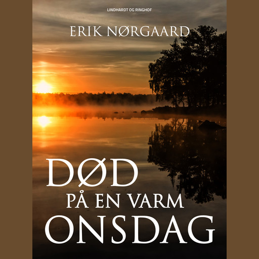 Død på en varm onsdag, Erik Nørgaard