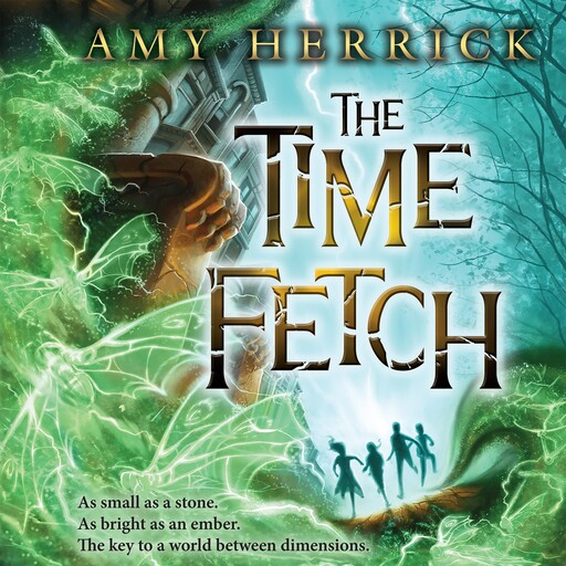 The Time Fetch, Amy Herrick