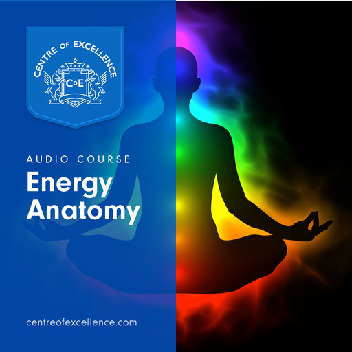 Energy Anatomy, Centre of Excellence