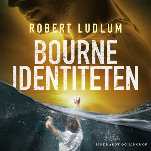 Bourne-identiteten, Robert Ludlum