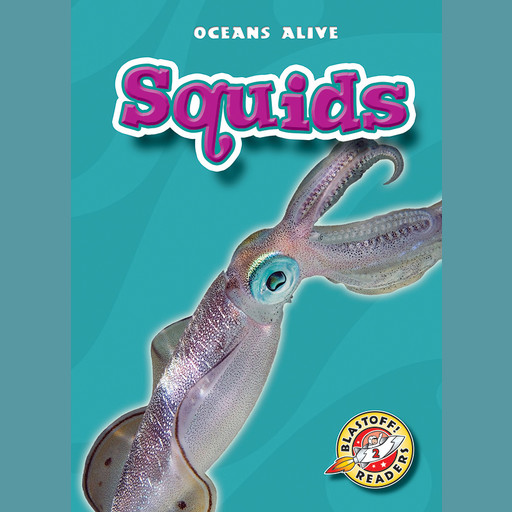 Squids, Colleen Sexton