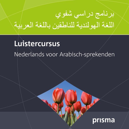 Luistercursus Nederlands voor Arabisch-sprekenden, Willy Hemelrijk