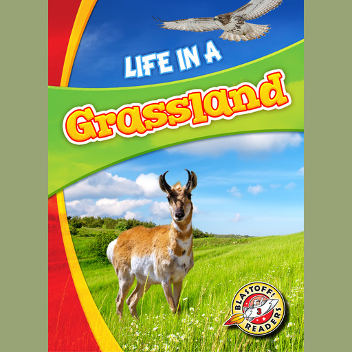 Life in a Grassland, Laura Hamilton Waxman