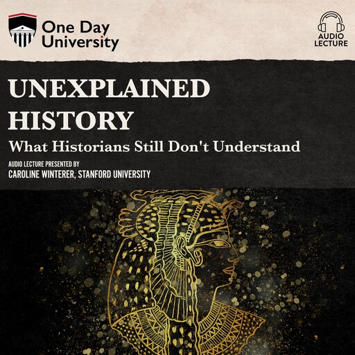 Unexplained History, Caroline Winterer