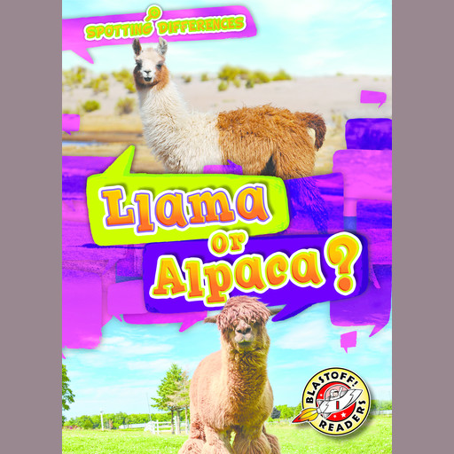 Llama or Alpaca?, Christina Leaf