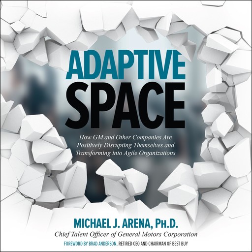 Adaptive Space, Michael J. Arena