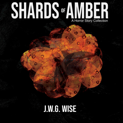 Shards of Amber, J.W. G. Wise