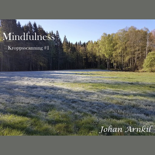 Mindfulness - Kroppscanning, Johan Arnkil