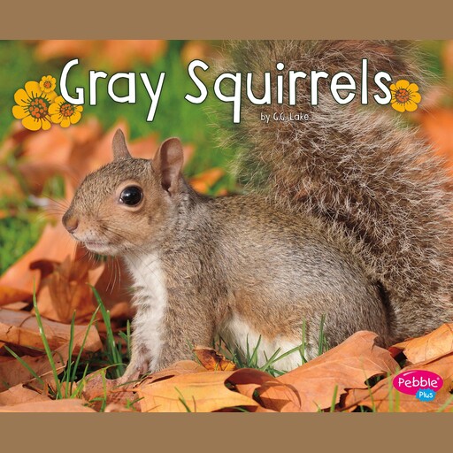Gray Squirrels, G.G. Lake