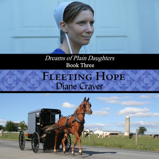 Fleeting Hope, Diane Craver