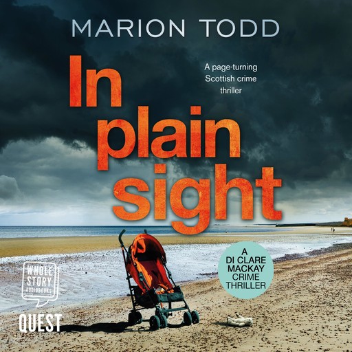 In Plain Sight, Marion Todd