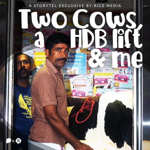 Two Cows, a HDB Lift, and Me, RICE media