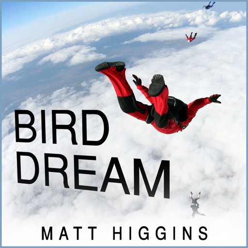 Bird Dream, Matt Higgins