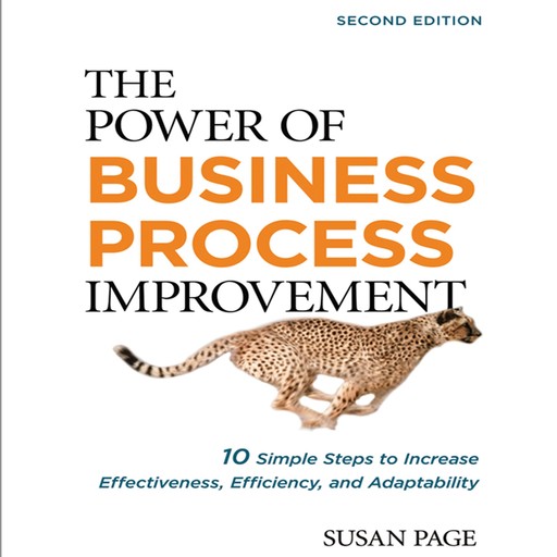 The Power of Business Process Improvement, Susan Page