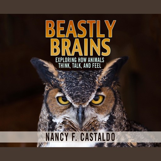 Beastly Brains, Nancy F. Castaldo