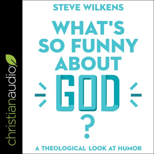 What's So Funny About God?, Steve Wilkens