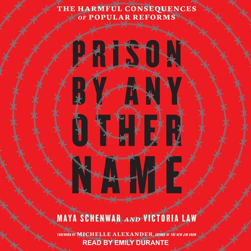 Prison by Any Other Name, Michelle Alexander, Maya Schenwar, Victoria Law