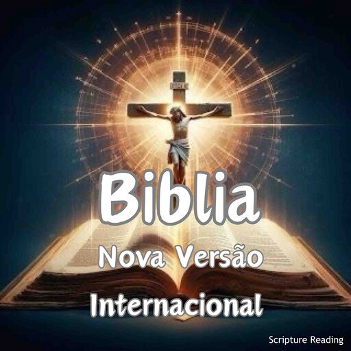 Biblia - Nova Versão Internacional, Biblia