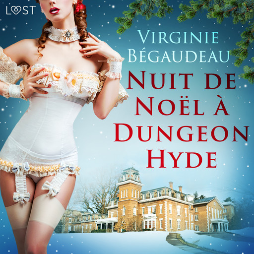 Nuit de Noël à Dungeon Hyde – Une nouvelle érotique, Virginie Bégaudeau