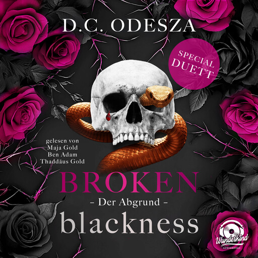 Der Abgrund - Broken Blackness, Band 4 (Ungekürzt), D.C. Odesza